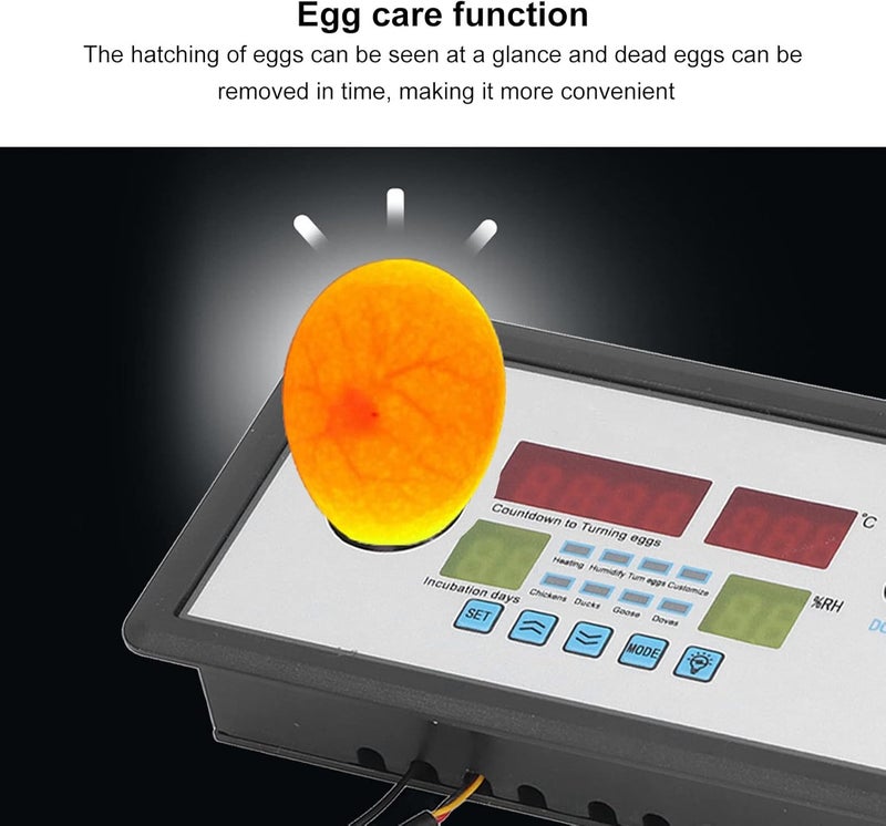 plplaaoo Intelligent Incubator Thermostat,DC 12V 100W Egg Incubator Temperature Controller, Digital Automatic Egg Hatching Incubators Controller for Hatching Duck Eggs Goose Egg - Image 2